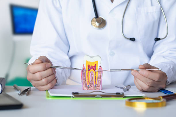 Best 24-Hour Emergency Dentist in Shorewood Tower Hills Harbert, MI